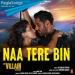 Naa Tere Bin Mp3